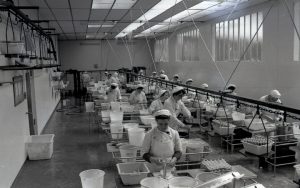 Première Casserie d'oeufs Industrielle de France