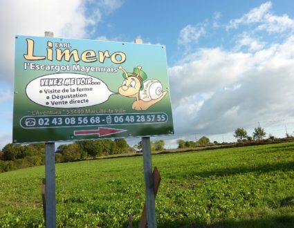 Journée de grève nationale pour certains... Opération Escargots... au bord de la Nationale 12 pour d'autres !