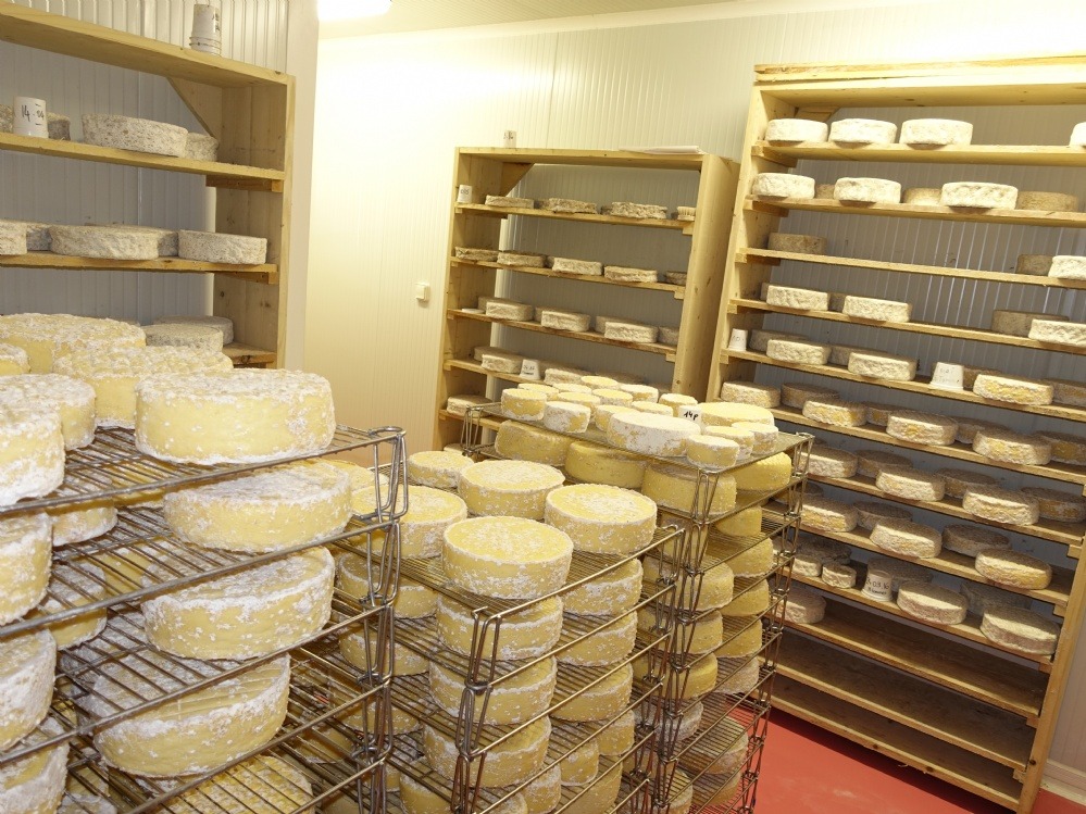 Maine Agrotec avait permis en Juillet 2015 la réalisation sur l'ile de BELLE ILE de la première fromagerie artisanale de tomes.