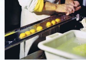 Une séparatrice du blanc et du jaune