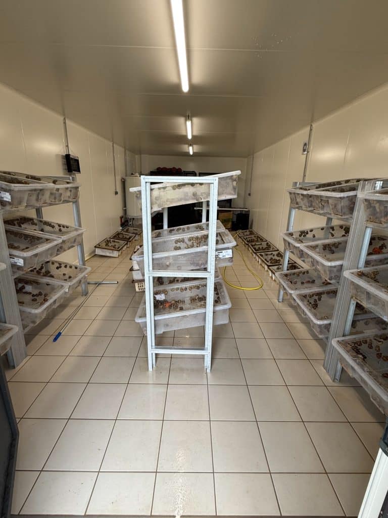 panneaux-sandwich-maine-agrotec-7